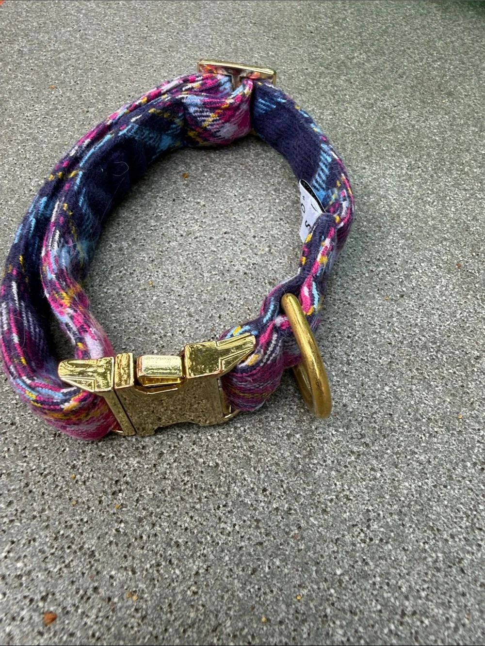 LIMITED EDITION THE FOGGY DOG SIZE SMALL PET COLLAR